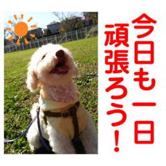 [LINEスタンプ] Ashのhappy life①