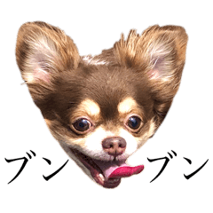 [LINEスタンプ] りくにゃん盛り沢山