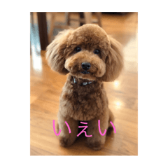 [LINEスタンプ] ダリルスタンプ
