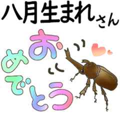 [LINEスタンプ] 8月生まれさんを寿ぐスタンプ