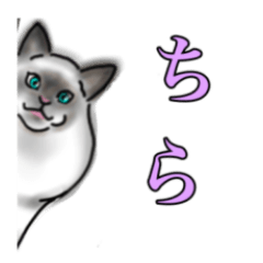 [LINEスタンプ] 猫飼いさんの日常使いのスタンプシリーズ