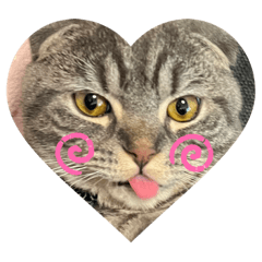 [LINEスタンプ] ぽこぽこねこすたんぷ6