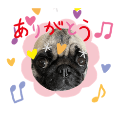 [LINEスタンプ] Pと僕とさらんぺたち