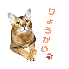 [LINEスタンプ] ゆずを