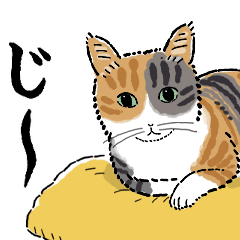 [LINEスタンプ] 猫の菊ちゃんスタンプ2