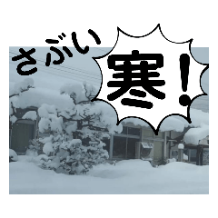 [LINEスタンプ] たけしのスタンプ その30