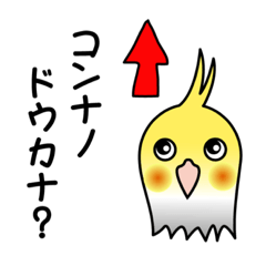 [LINEスタンプ] タマスケのスタンプ