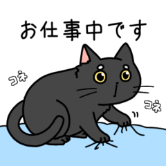 [LINEスタンプ] 黒猫ヨミのスタンプ