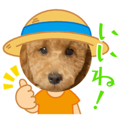 [LINEスタンプ] わたちのペット