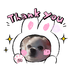 [LINEスタンプ] 犬のスタンプ(ペコ＆チョコ)シリーズ