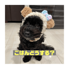 [LINEスタンプ] ヨープーのCONAN♡