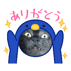 [LINEスタンプ] SMILE CAT