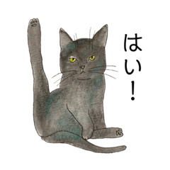 [LINEスタンプ] かもめのにゃんこスタンプ 黒猫