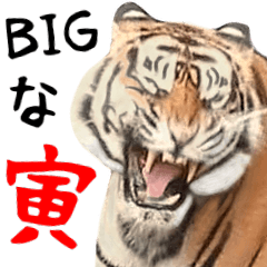 [LINEスタンプ] BIGな寅(トラ)の動物園！ほほえみフレンズ