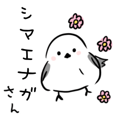 [LINEスタンプ] シマエナガの毎日の平和な生活スタンプ