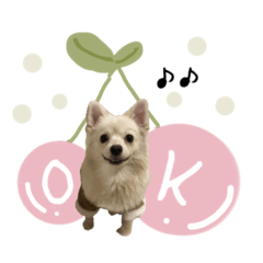 [LINEスタンプ] まろんのにちじょう ♡