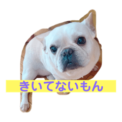 [LINEスタンプ] なんとなく使える武美のお仕事スタンプ