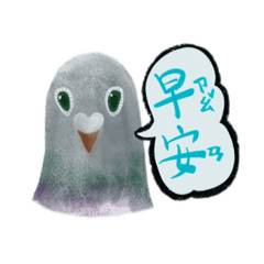 [LINEスタンプ] 鳩スタンプシリーズ第二弾(台湾華語版)