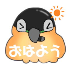 [LINEスタンプ] ズグロシロハラインコ！