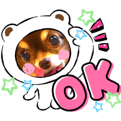 [LINEスタンプ] チョコちゃんスタンプ♡*(業務連絡編)