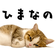 [LINEスタンプ] どびーくんDX