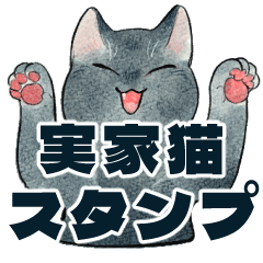 [LINEスタンプ] 実家猫備忘録スタンプ