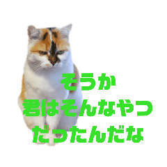 [LINEスタンプ] お昼深夜テンション猫スタンプ^._.^