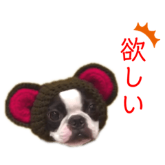 [LINEスタンプ] いぬやん（レオンさん）スタンプ