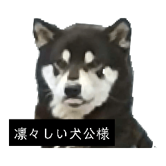 [LINEスタンプ] こたのスタンプ適