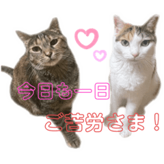 [LINEスタンプ] いちことふたば②