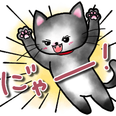 [LINEスタンプ] 日常＆敬語 黒猫スタンプ