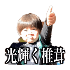 しょうやん男三兄弟ゆうだい | LINEスタンプ | MAO