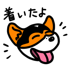 [LINEスタンプ] 笑顔の犬の日常会話