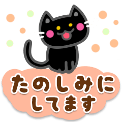 [LINEスタンプ] かわいい黒猫[太文字＆使える言葉]