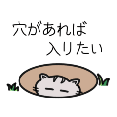 [LINEスタンプ] 鳥とネコとウサギのスタンプ