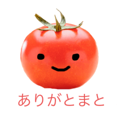 [LINEスタンプ] 【日常やさい】栄養満点！かわいいお野菜！