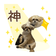 [LINEスタンプ] ここさんまろさん