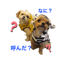 [LINEスタンプ] ここさんまろさん 2