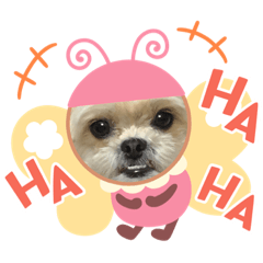 [LINEスタンプ] ここさんまろさん 3