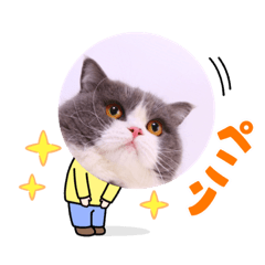 [LINEスタンプ] ザ ムック