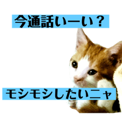 [LINEスタンプ] モシモシしたいニャ