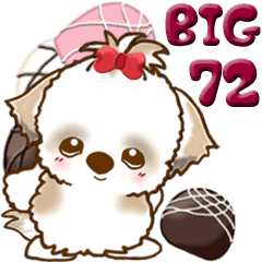 [LINEスタンプ] 【Big】シーズー犬 72『バレンタイン＆♥』の画像（メイン）