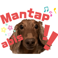[LINEスタンプ] らぶぞぅt
