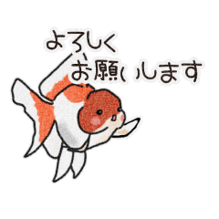 [LINEスタンプ] 金魚のイラストスタンプ