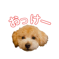 [LINEスタンプ] gran is dog