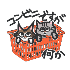 [LINEスタンプ] 実用！キジサバにゃんこ