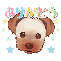 [LINEスタンプ] ヨークシャーテリア☆そらのスタンプ