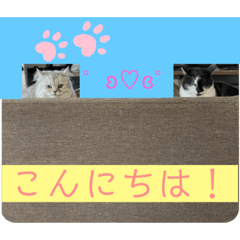 [LINEスタンプ] コップの中からこんにちはぁーー！