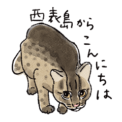 [LINEスタンプ] 西表島からこんにちは