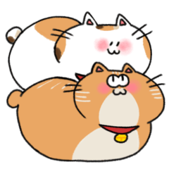 [LINEスタンプ] ていねいことばねこ 初めましてでも安心